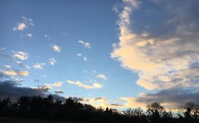 Fox View Guesthouse